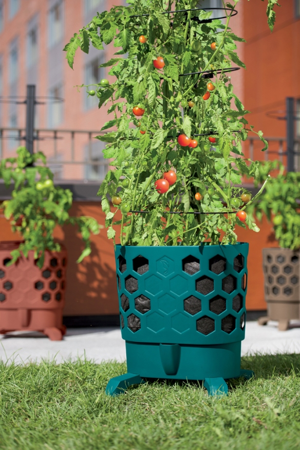 Photo by Gardener’s Supply Company Growing tomatoes in container gardens enables gardeners to jump start the growing season.